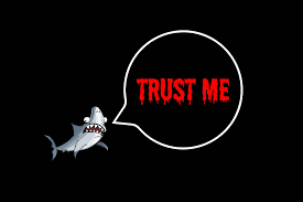 Trust me as spoke by a shark